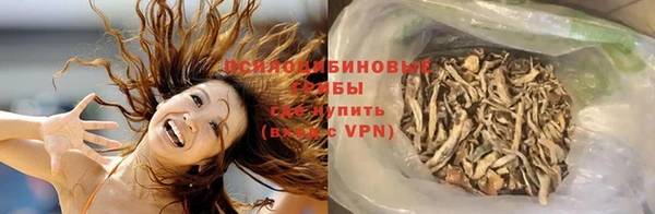 соль курить ск Алзамай