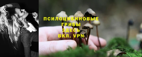 соль ск Покров
