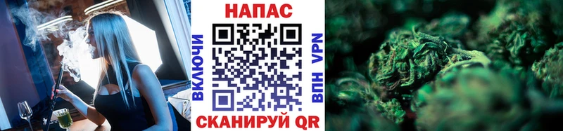купить наркотики сайты  Жиздра  Шишки марихуана гибрид 
